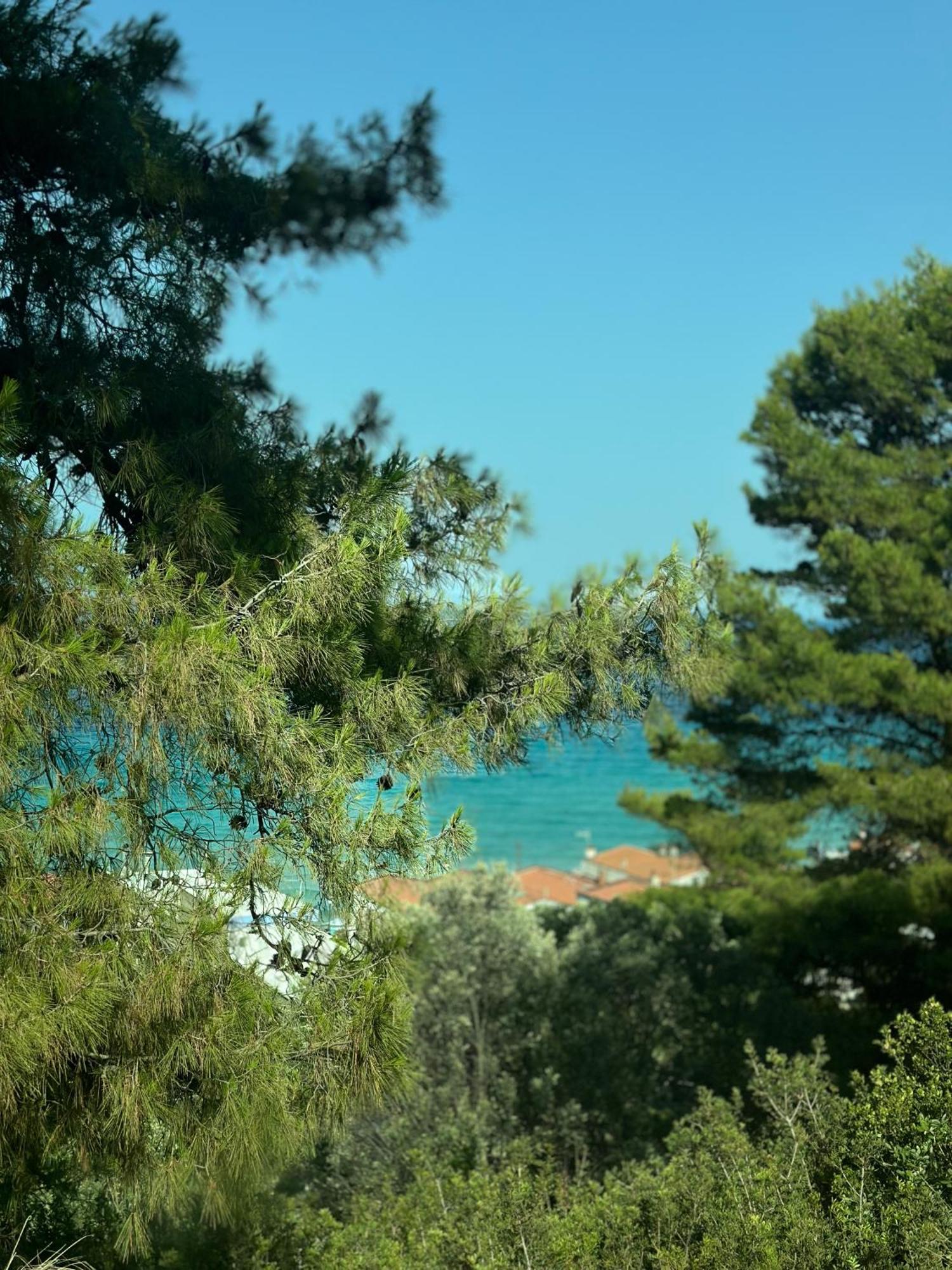 Victory Vip Apartments Kallithea (Chalkidiki) Exterior foto